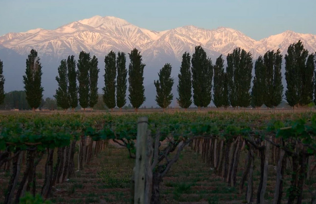 9 Must-Visit Attractions in Mendoza, Argentina
